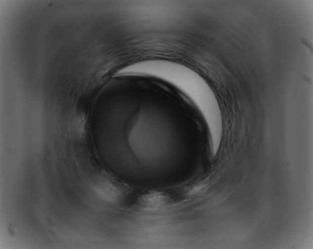X0000095690219200801081255