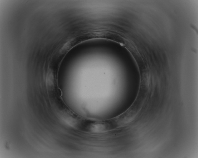 X0000095690220200801081255