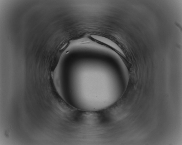 X0000095690221200801081255
