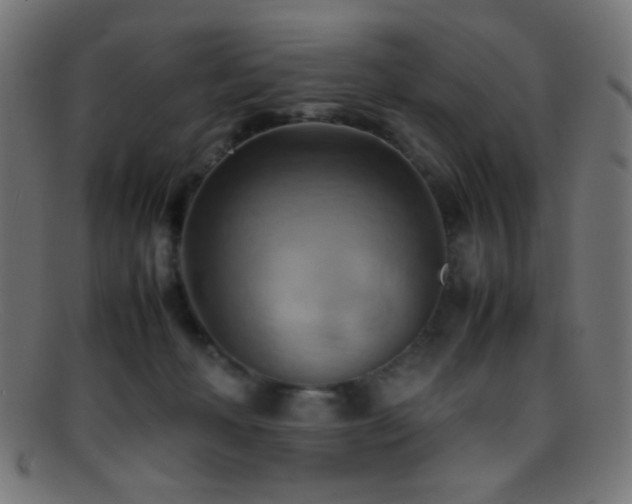 X0000095690222200801081255