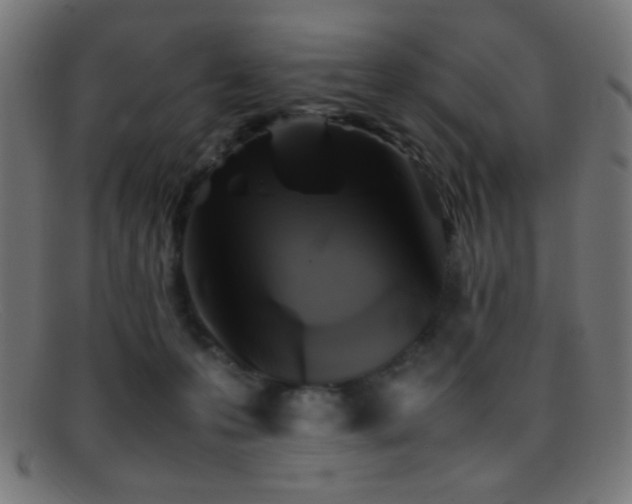 X0000095690223200801081255