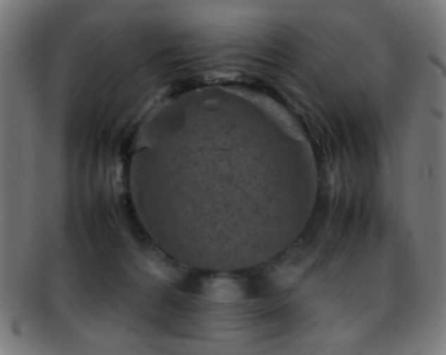 X0000095690224200801081255