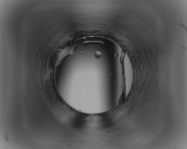 X0000095690225200801081255