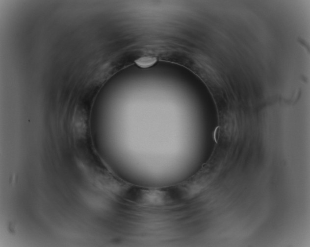 X0000095690226200801081255