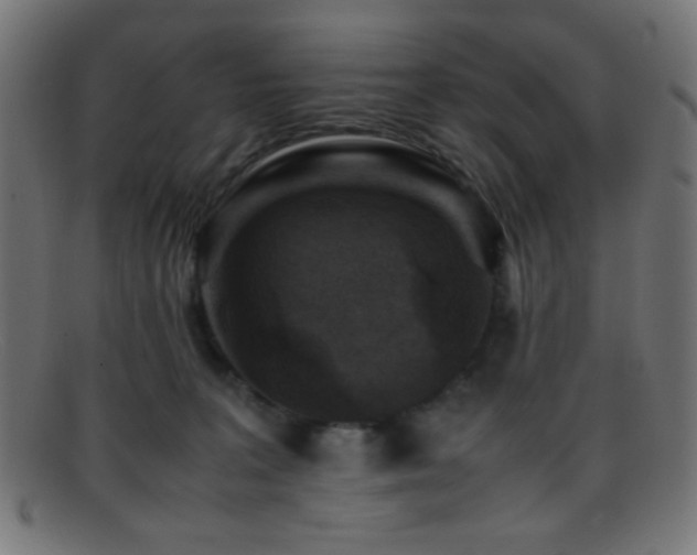 X0000095690227200801081255