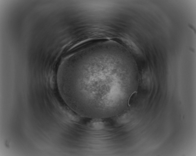 X0000095690228200801081255