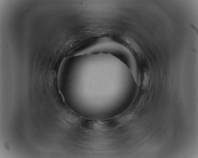 X0000095690229200801081255
