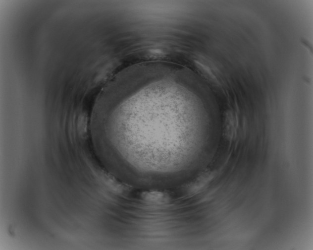 X0000095690230200801081255