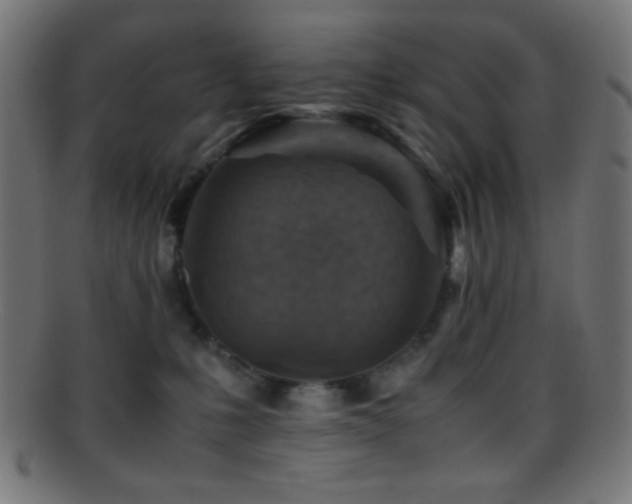 X0000095690231200801081255