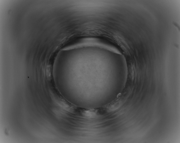 X0000095690232200801081255