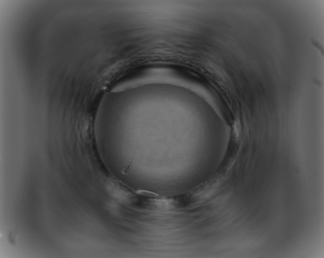 X0000095690233200801081255