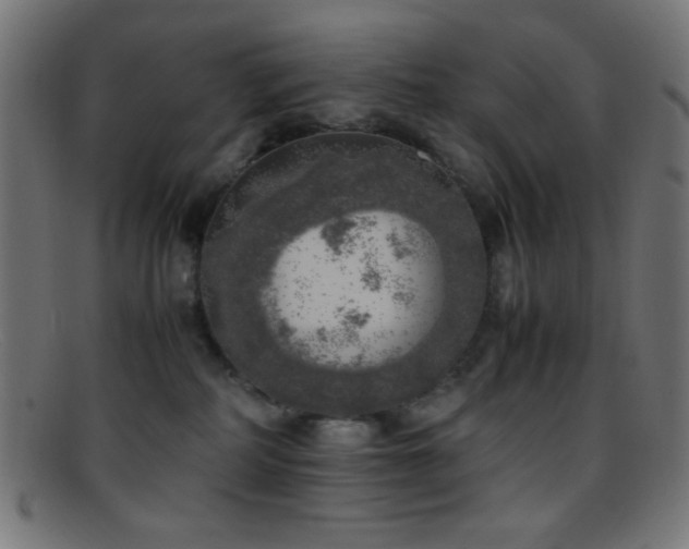 X0000095690234200801081255