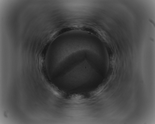 X0000095690235200801081254