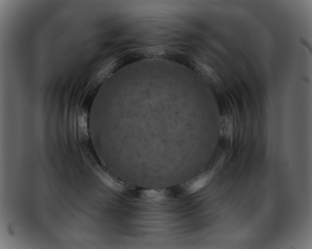 X0000095690238200801081254