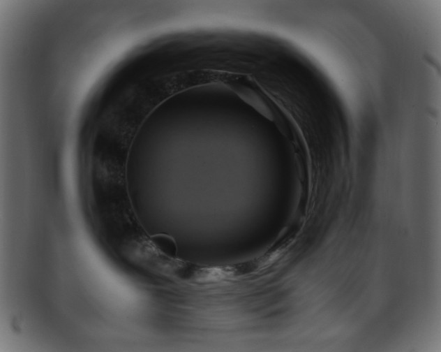 X0000095690239200801081254