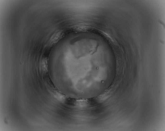 X0000095690240200801081254