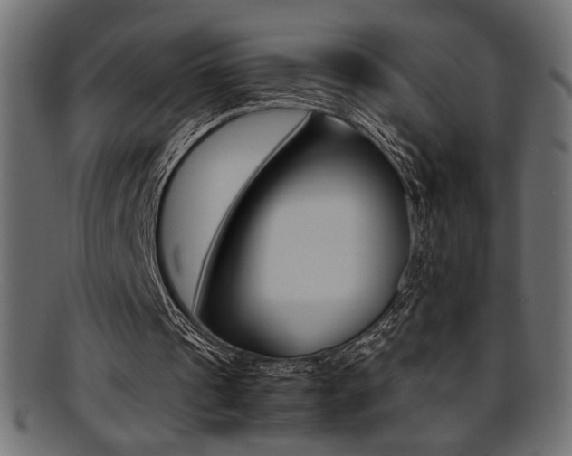 X0000095690241200801081254