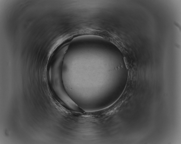 X0000095690244200801081254