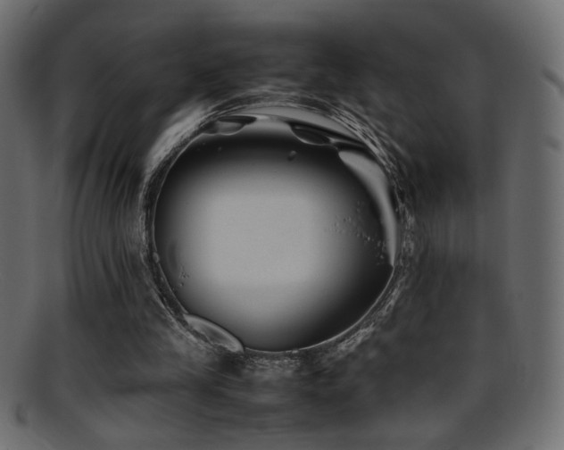 X0000095690245200801081254