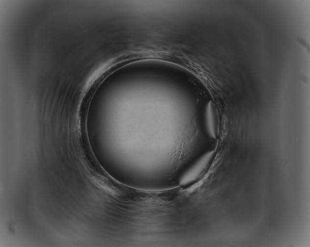 X0000095690246200801081254