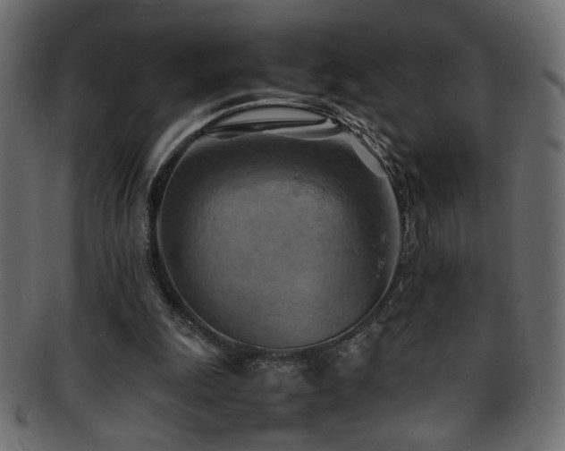 X0000095690247200801081254