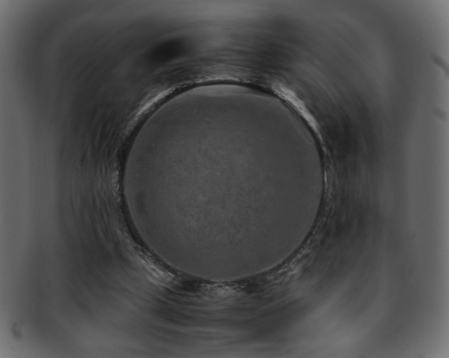 X0000095690249200801081254
