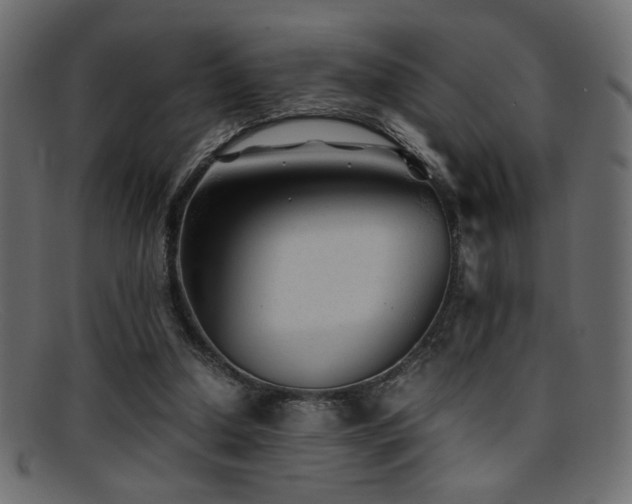 X0000095690250200801081254