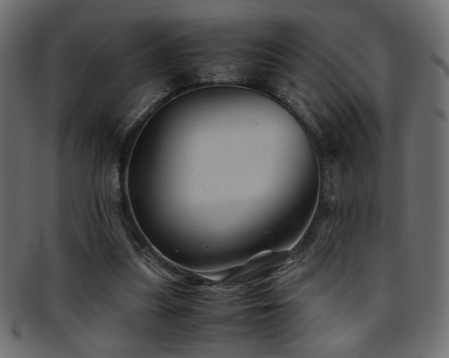 X0000095690251200801081254