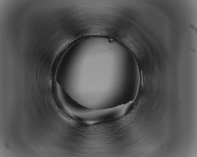 X0000095690252200801081254