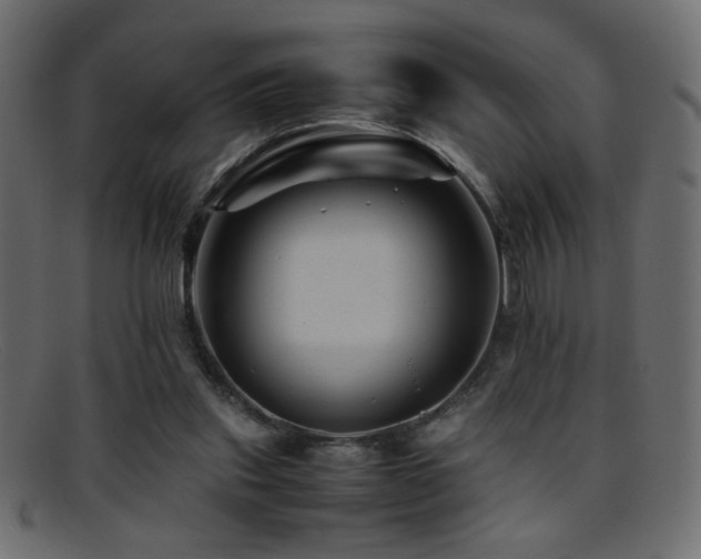 X0000095690253200801081254