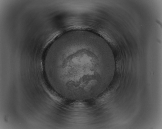 X0000095690254200801081254