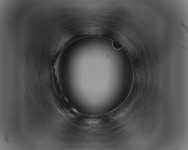 X0000095690255200801081254
