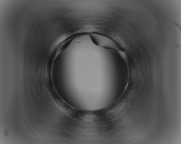 X0000095690256200801081254