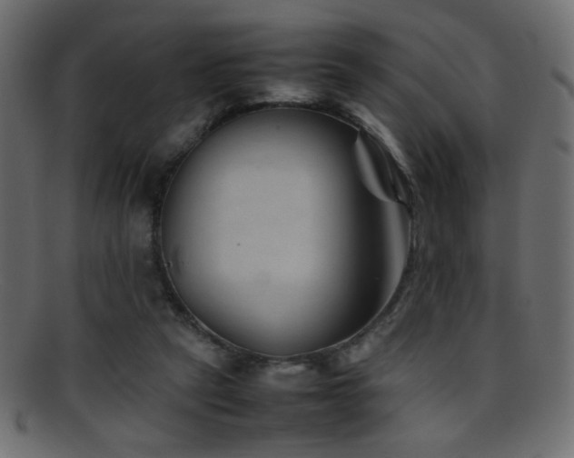 X0000095690257200801081254