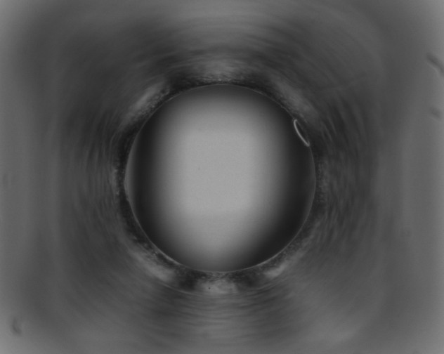 X0000095690258200801081254