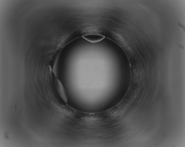 X0000095690259200801081254