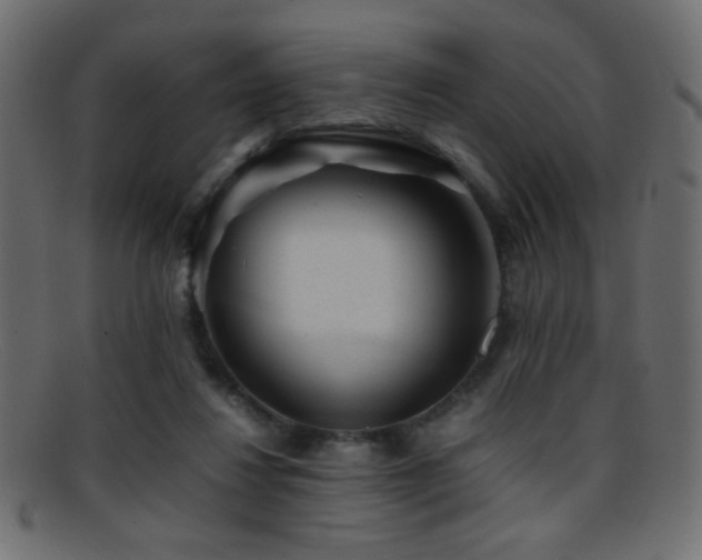 X0000095690260200801081254