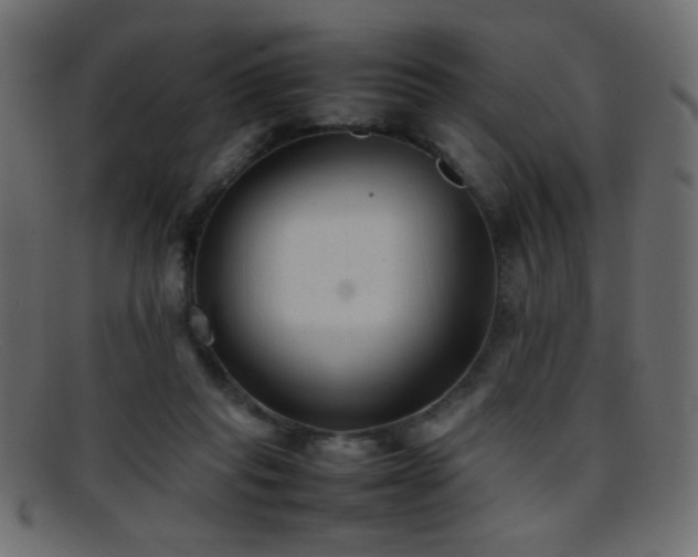 X0000095690261200801081254