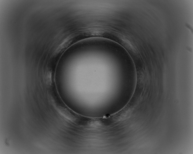 X0000095690262200801081254