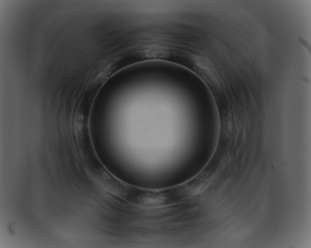 X0000095690263200801081254