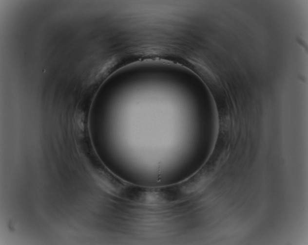 X0000095690264200801081254