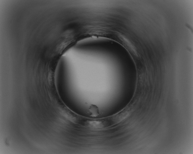 X0000095690265200801081254
