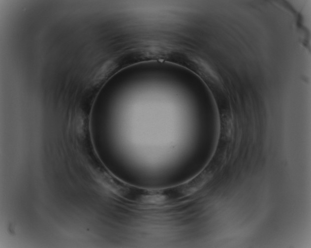 X0000095690266200801081254