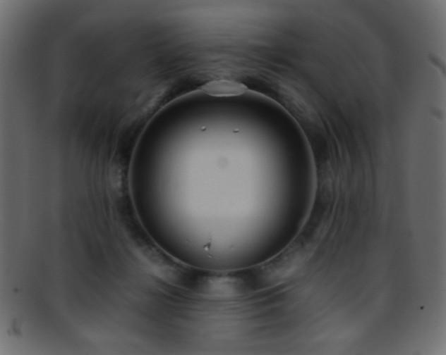 X0000095690268200801081254