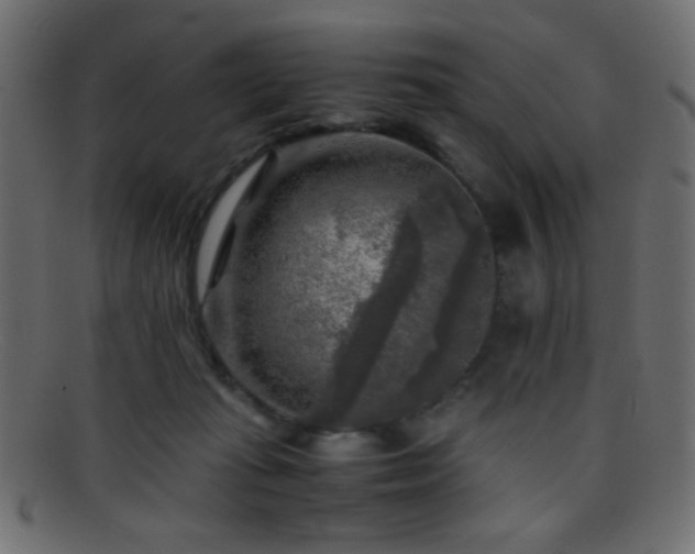 X0000095690269200801081254