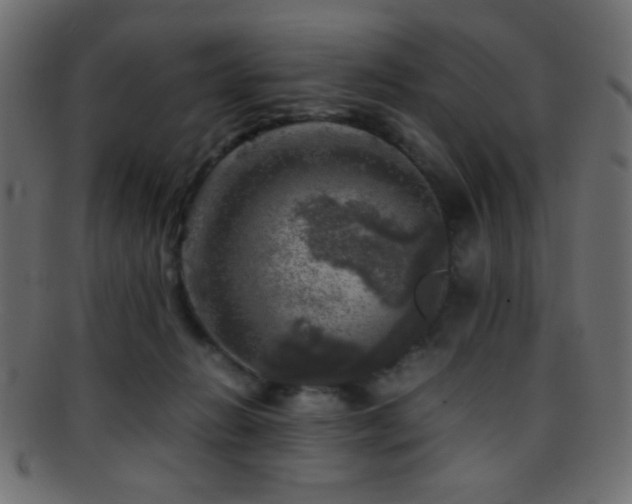 X0000095690270200801081254