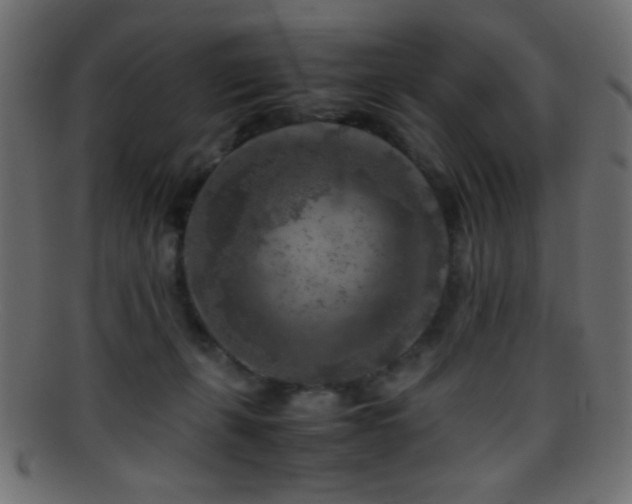 X0000095690271200801081254