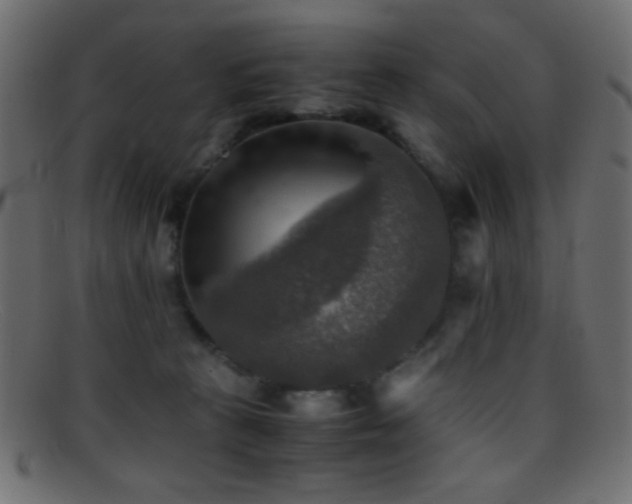X0000095690273200801081254