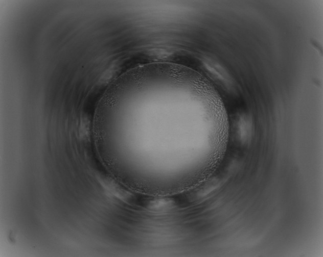 X0000095690274200801081254