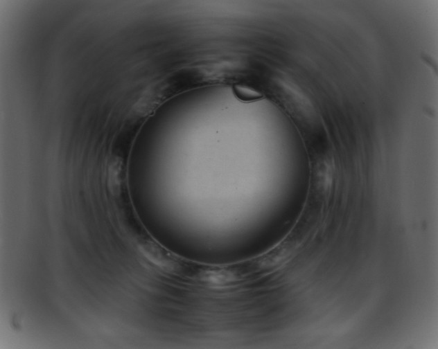 X0000095690275200801081254